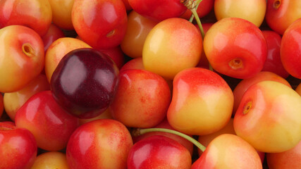 The fresh ripe yummy yellow cherries close-up at the rural market