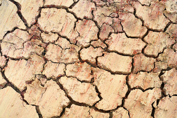 dry land textured