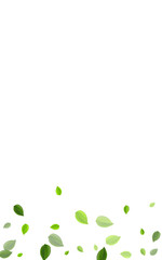 Fototapeta premium Green Foliage Forest Vector Border. Abstract 