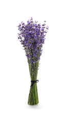 Beautiful fresh lavender bouquet isolated on white