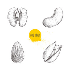Hand drawn sketch style nuts set. Walnut, cashew, almond and pistachio seeds. Collection of healthy natural food. Vector illustrations isolated on white background.
