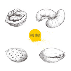 Hand drawn sketch style nuts set. Walnut, cashew, almond and pistachio. Collection of healthy natural food. Vector illustrations isolated on white background.