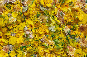 Collage of bright yellow flowers, top view 