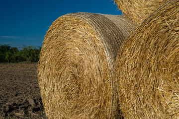 Round bales of straw lying on a plowed field in the background of a beautiful blue sky.