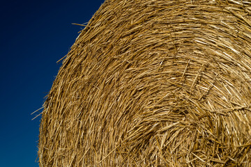 Round bales of straw lying on a plowed field in the background of a beautiful blue sky.