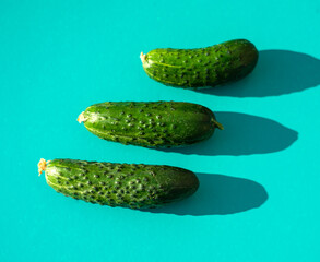 Healthy eating concept. Fresh organic cucumbers on a modern turquoise background