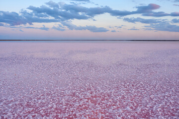 Beautiful view of a pink salt lake. Azov Ukraine
