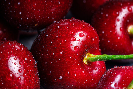 marco shot of a dark red cherry covered with fine water drops for a fresh and cool look, soft light reflection and dark shadow, green cherry stem facing to the right