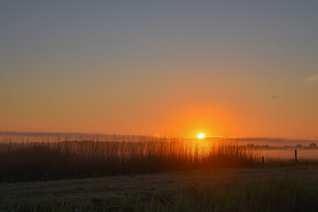 Rising sun over the wet lands in Huisduinen, Holland