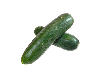 fresh cucumber isolated on white background