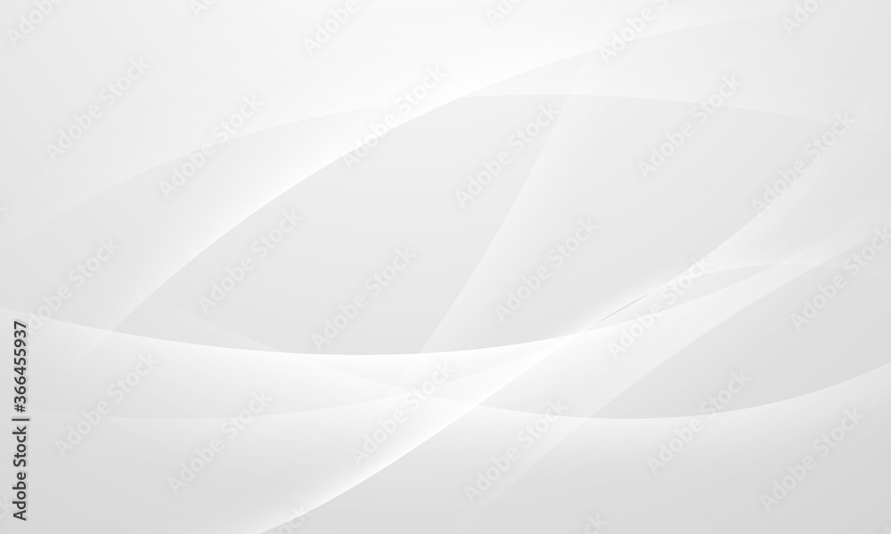 Wall mural abstract grey background poster with dynamic waves. technology network vector illustration.