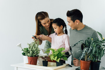 Chinese mother and father with young daughter holding gardening tools and looking after plants