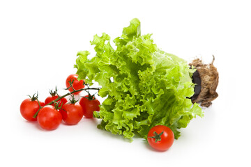 cherry tomatoes and lettuce plant on a white background