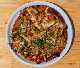 STEINPILZGERICHT . SCHWAMMERLGULASCH . PORCINI DISH