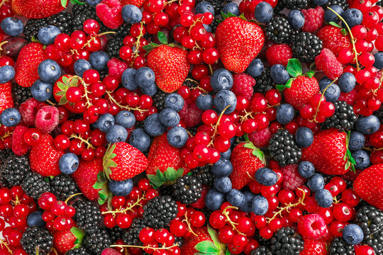 Mixed wild fresh berries background