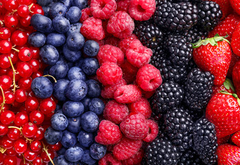 Mixed wild fresh berries background