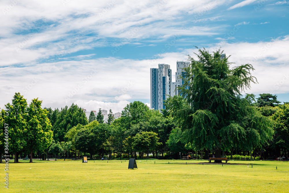 Wall mural Seoul forest park with modern skyscrapers in Korea