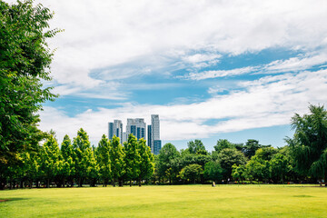 Obraz premium Seoul forest park with modern skyscrapers in Korea