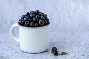 Close up of fresh wild washed blueberries Vaccinium myrtillus in a white ceramic cup on a light gray concrete background. Side view, horizontal, copy space