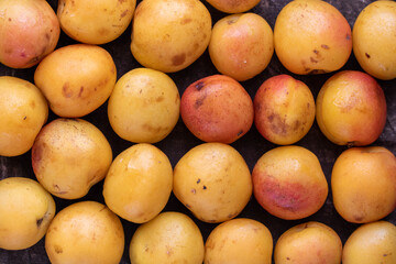 Yellow and red farmer aprium, Prunus armeniaca x Prunus salicina, cross between plum and apricot, background, top view, flat lay. Summer berry pattern