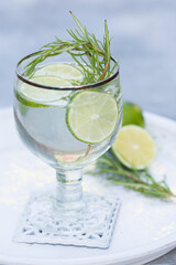 Glass of gin and tonic with lime slices and rosemary.