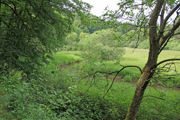 Fluss Wiesent in der Fränkischen Schweiz