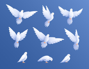 White Pigeons Doves Set