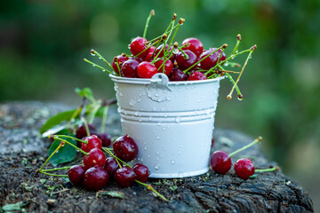 Fototapeta na wymiar Fresh cherries in bowl. Close up view of pile of red ripe cherries. Red fruits in garden.