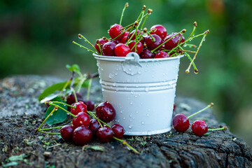 Fototapeta na wymiar Fresh cherries in bowl. Close up view of pile of red ripe cherries. Red fruits in garden.