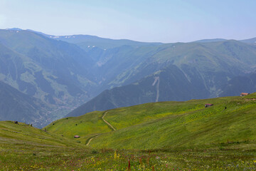 mountain landscape with green grass / Turkey / Trabzon