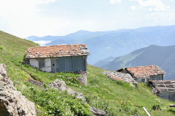 Fototapeta na wymiar mountain landscape with green grass / Turkey / Trabzon