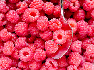 Juicy ripe raspberries are selected with a silver spoon. Natural berry background.