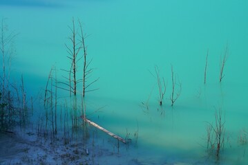 turquoise water, flooded trees, a coal mine in the Chelyabinsk region