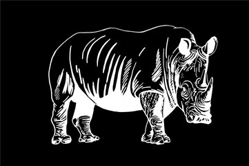 Fototapeta na wymiar Graphical rhino isolated on black background,vector engraved illustration. 