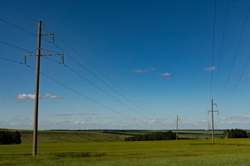 Fototapeta na wymiar Power lines in a green field against the blue sky.