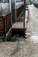 Fototapeta na wymiar 長崎県島原市　鯉の泳ぐまち