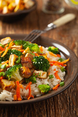Tofu with rice and vegetables. Served on brown plate.