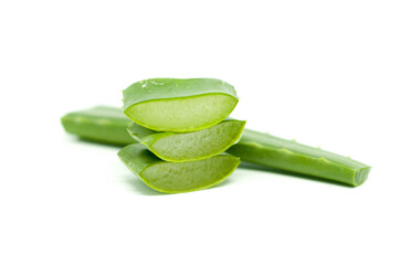 Aloe Vera Three Stacks with One on The Back Fresh in Isolated White Background Lidah Buaya Background Putih