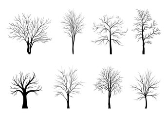 Obraz premium Trees silhouettes set isolated on white background.. Vector illustration