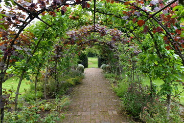 trellis lined garden path