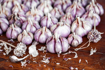 Organic garlic on wood background. Fresh herbs and spices. 