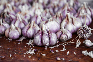 Organic garlic on wood background. Fresh herbs and spices. 