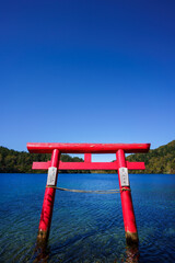 志賀高原　大沼の鳥居