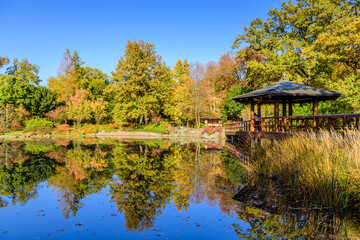 Fototapeta premium Sightseeing of Wroclaw, Poland. Picturesque Japanese garden in autumn