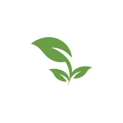 Leaf Logo Template vector symbol
