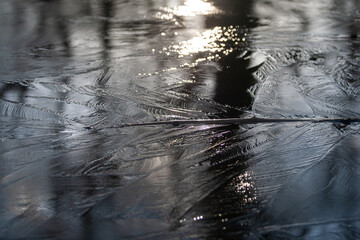 branch in a frozen lake (macro)