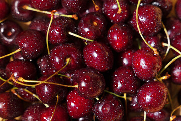Pile of ripe red cherries with stalks.