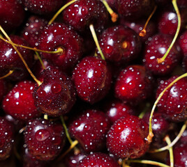 Pile of ripe red cherries with stalks.
