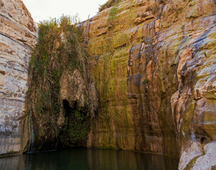 a colorful spring and waterfall forms a pool at the ein akev spring in israel beneath the towering limestone cliffs which are covered in tropical plants and streaks of different colors