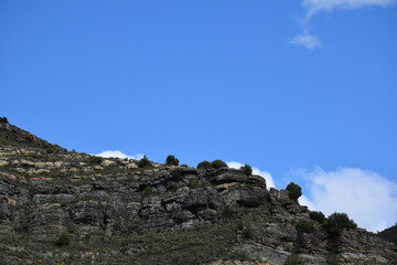 Rocky cliffs with small holm oaks and blue sky with clouds. Old vulture breeding place.